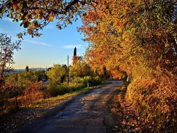 Boscolo Tour in bus Chianti e Val d'Orcia