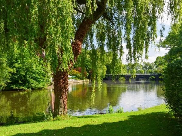 Boscolo Tour Belgio e Fiandre vari, Bruxelles, Anversa, Bruges 5-7 giorni