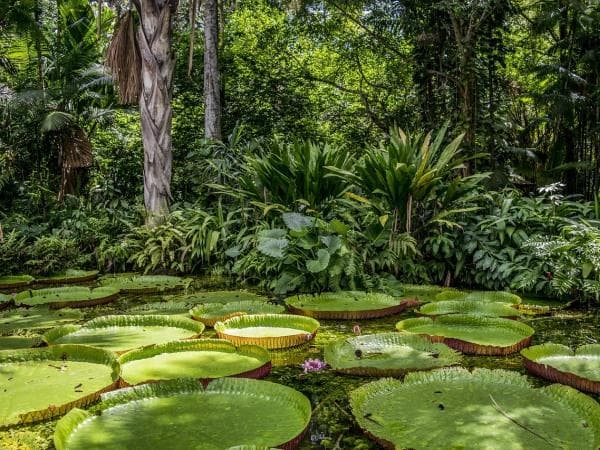 Boscolo Tour Brasile vari, Rio de Janeiro, Salvador de Bahia, Pantanal e Amazzonia 11-12-13-14 giorni
