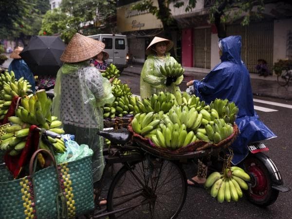 Boscolo Tour del Vietnam, Ho Chi Minh, Hanoi, Ninh Binh e Hoi An