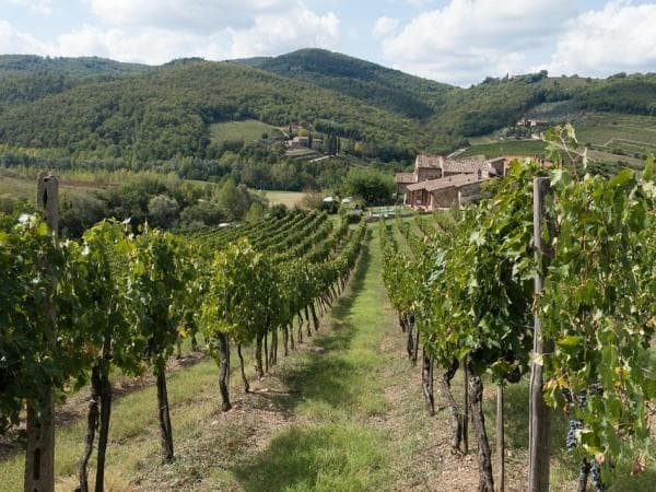 Boscolo Tour in bus Chianti e Val d'Orcia