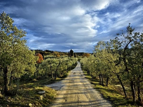 Boscolo Tour in bus Chianti e Val d'Orcia