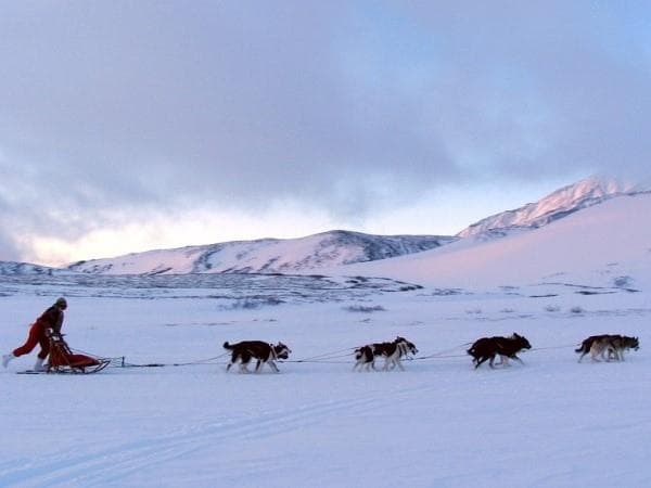 Boscolo Tour della Finlandia, Helsinki e Rovaniemi