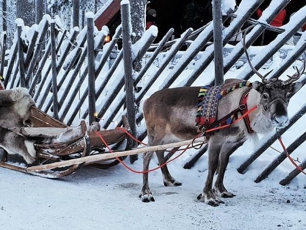 Boscolo Tour della Finlandia, Helsinki e Rovaniemi