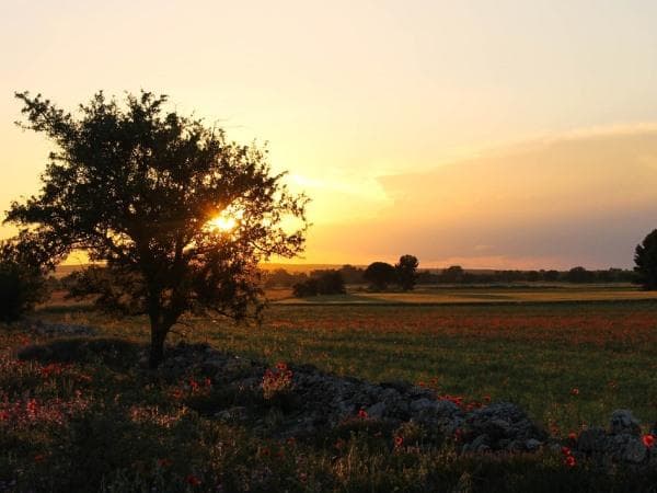 Boscolo Tour in bus: Matera e la Basilicata
