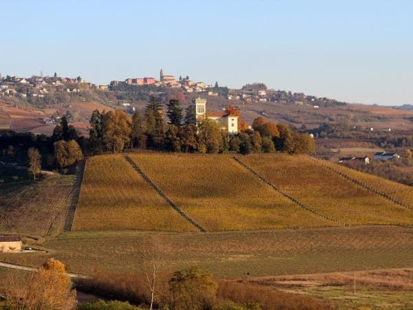 Boscolo Tour in bus Monte Bianco, Langhe e Torino