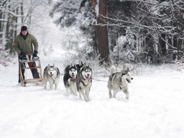 Boscolo Tour della Finlandia, Helsinki e Rovaniemi