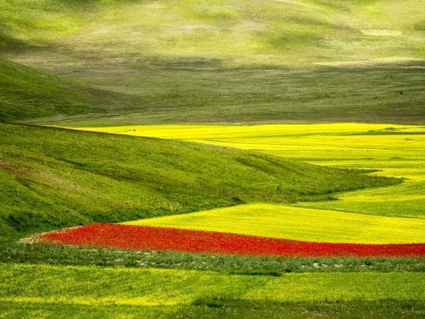 Boscolo Tour in bus in Umbria