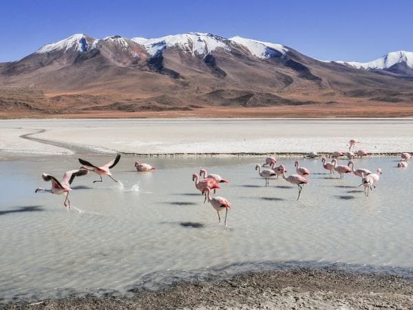 Boscolo Tour Bolivia, Lago Titicaca, Trekking Vulcano Tunupa 10 giorni