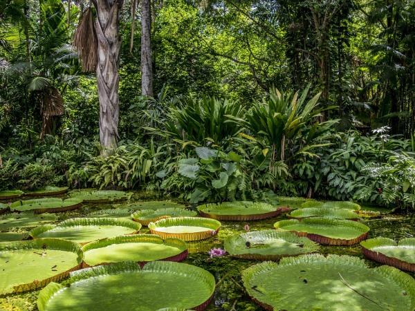 Boscolo Tour Brasile vari, Rio de Janeiro, Salvador de Bahia, Pantanal e Amazzonia 11-12-13-14 giorni