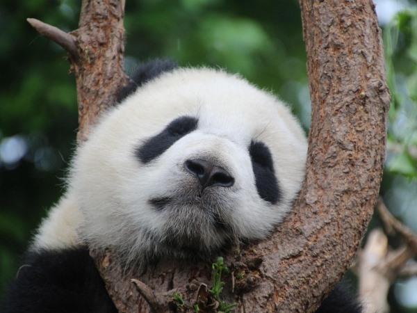 Boscolo Tour Cina (vari), Shanghai, Pechino e Grande Muraglia Cinese 12-13-14-15 giorni